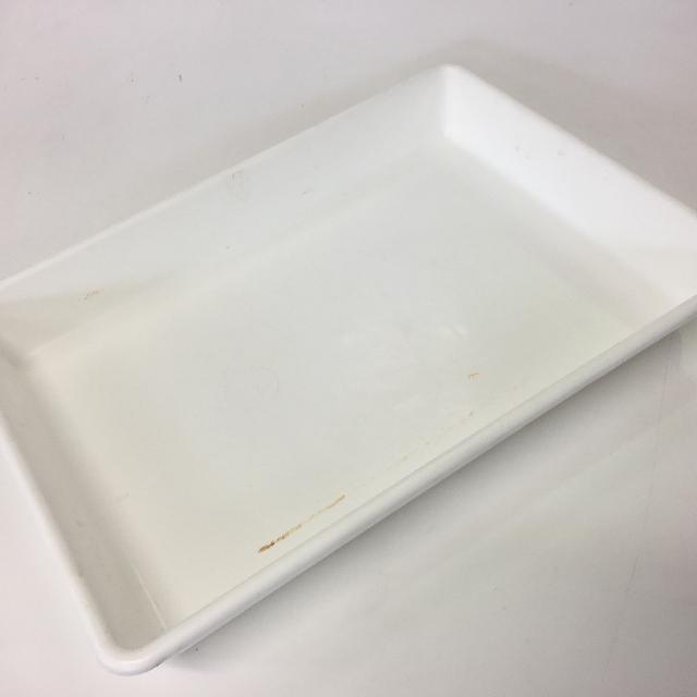 FOOD CONTAINER OR TRAY, White Catering Style